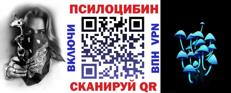 продажа наркотиков  Кимры  Псилоцибиновые грибы прущие грибы 