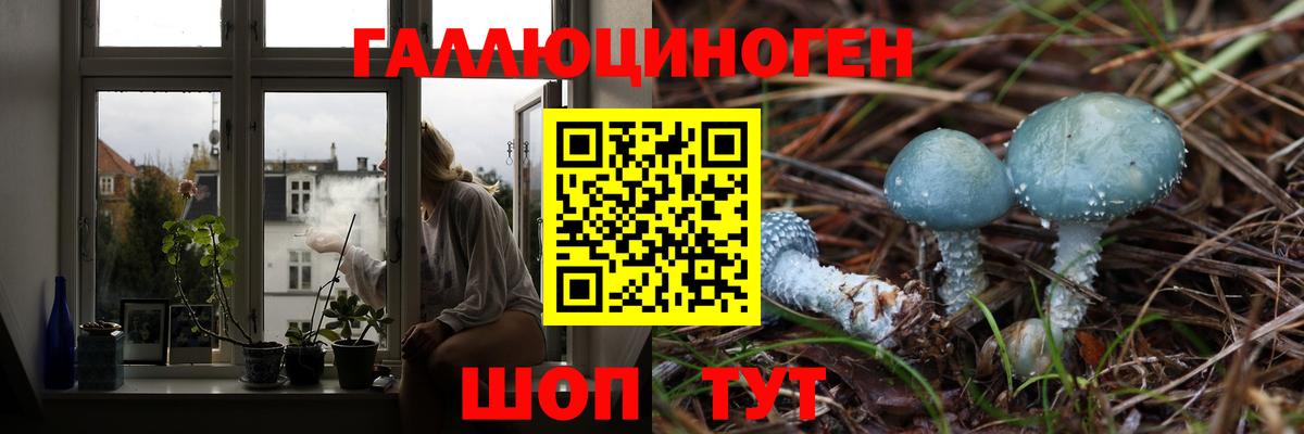 Кимры  Псилоцибиновые грибы мухоморы  Вход с VPN  Галлюциногенные грибы Magic Shrooms 