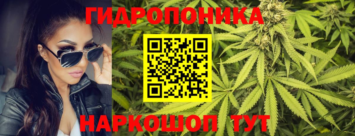 Канабис конопля Кимры
